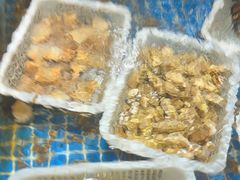 -小时候焗海鲜(鄞州万达店)