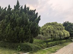 -南沙蒲洲花园