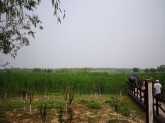 -西青郊野公园