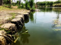 -九里河湿地公园