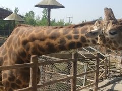 -西安秦岭野生动物园