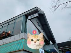 -蚝翅·海鲜粥·烧烤·宁夏滩羊季(玉米楼店)