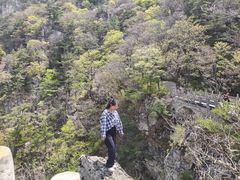 -牛背梁国家森林公园