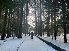 -北海道神宫