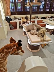 -奈尔宝·国风主题儿童乐园·亲子餐厅(豫园商城店)