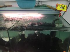 -农家土菜老煨锅(木鱼镇店)