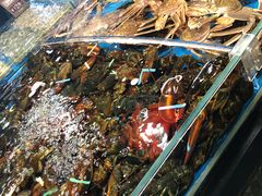 -徐记海鲜(汉城湖|太奥店)