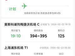 -谢列梅捷沃国际机场