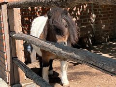 -清风小镇闯关东影视基地
