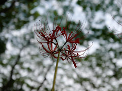 -白塘生态植物园