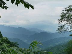 -王顺山国家森林公园