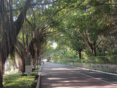 -南宁南湖公园