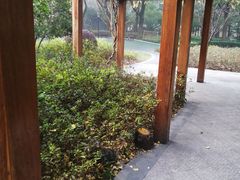 -徐家汇源景区-衡山公园