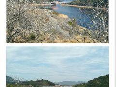 -广州市流溪河国家森林公园