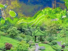 -云溪植物园