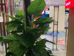 -眉州东坡(通州店)