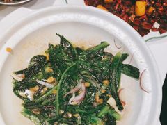 砂锅油麦菜-撒椒·四川江湖菜(大族广场店)