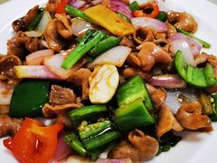 酱爆鱼肚-瑞记湛江鸡饭店·粤西第一鸡(粤垦店)