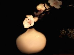 -手佳·水疗汇(嘉益店)