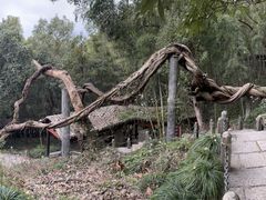 -严子陵钓台(富春江小三峡)