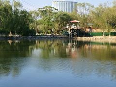 -青城公园