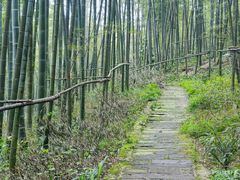 -蜀南竹海景区