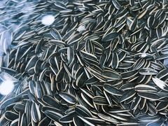 -刘艳明炒货(小心桥店)