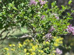 -国家植物园南园