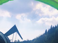 -武陵山森林公园
