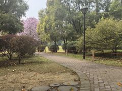 -雀儿山公园