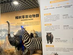 -山东省科技馆(新馆)