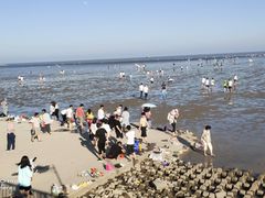 -奉贤海滩