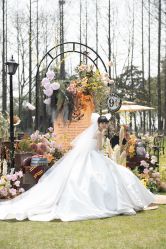 -DC大蔡婚礼策划(李公堤店)