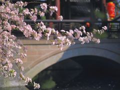 -棠湖公园