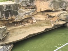 -无锡动物园·太湖欢乐园