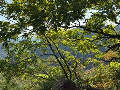 -五女峰国家森林公园