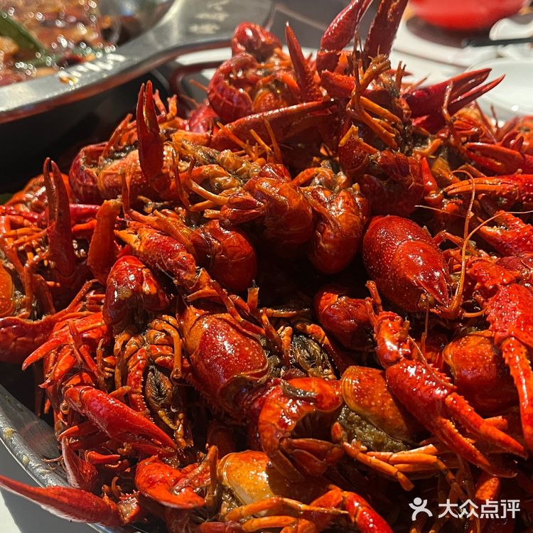 今天吃撑了，超满足