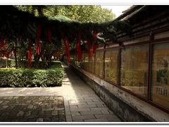 -西安青龙寺遗址景区