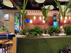 -龙泉人椰子鸡·糟粕醋·地标海南菜(龙昆南店)