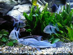 -上海海洋水族馆-停车场