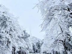 -南岳衡山风景名胜区