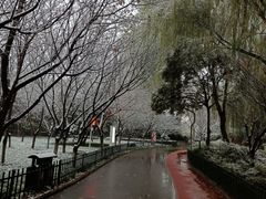 -西安市长乐公园
