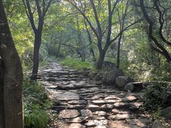 -阳台山自然风景区