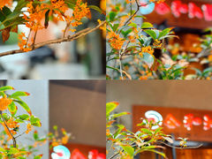 -合和大唐(江夏纸坊店)