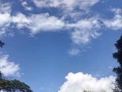 -深圳仙湖植物园