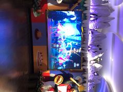 -帝企鹅自助餐厅•儿童岛•真企鹅(长隆企鹅酒店)