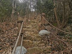 -午潮山国家森林公园