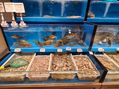 -七鲜超市(瑞虹天地太阳宫店)
