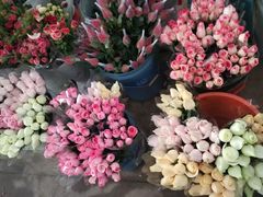 -三圣花乡旅游区