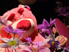 -松临·铁板烧&Omakase(神农店)